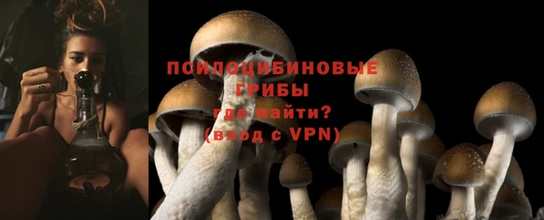 a pvp Абаза