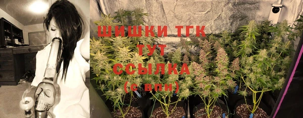 крисы Абдулино