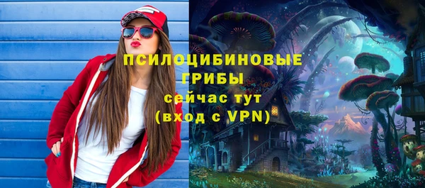 a pvp Абаза