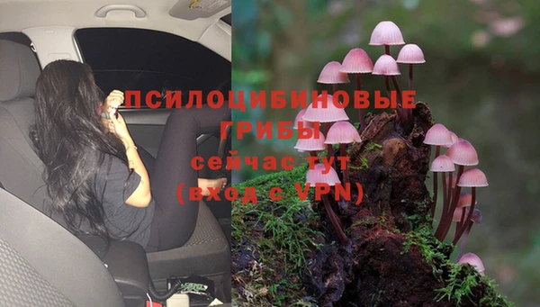 таблы Алексин