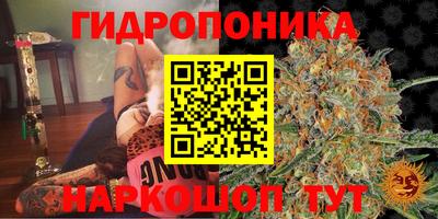mdpv Аргун