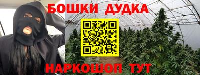 индика Апшеронск