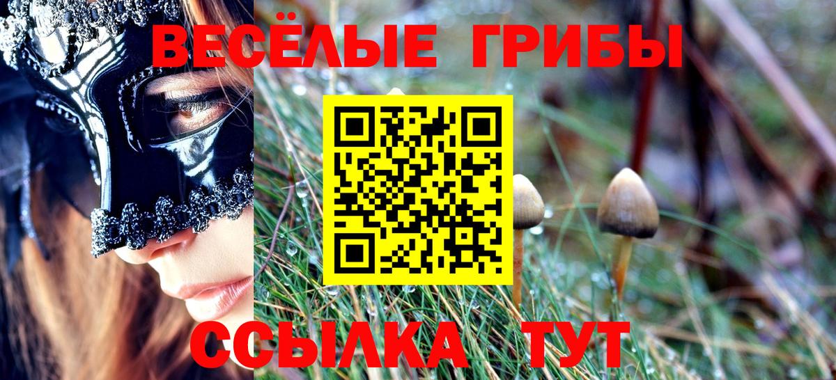Псилоцибиновые грибы Cubensis  Вход с VPN  Балаково 